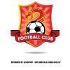 Logo Bóng Đá Hình Rồng Ấn Tượng