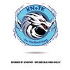 Logo Bóng Đá Đẹp In Trên Áo Hình Rồng
