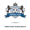 Logo Bóng Đá Hình Sư Tử Cực Chất